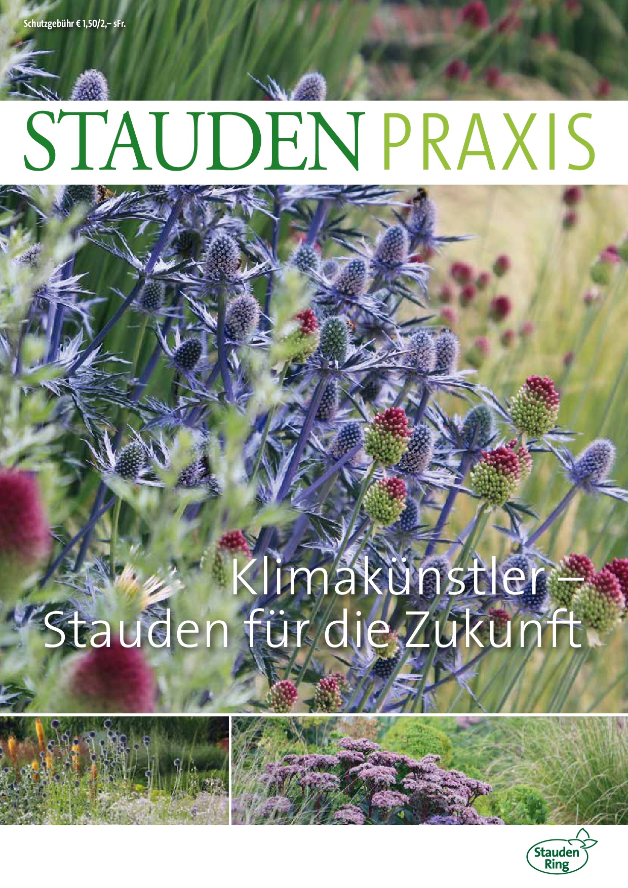 Stauden_Ring_Stauden Praxis